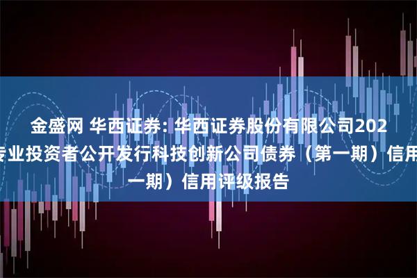 金盛网 华西证券: 华西证券股份有限公司2025年面向专业投资者公开发行科技创新公司债券(第一期)信用评级报告