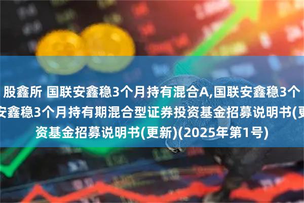 股鑫所 国联安鑫稳3个月持有混合A,国联安鑫稳3个月持有混合C: 国联安鑫稳3个月持有期混合型证券投资基金招募说明书(更新)(2025年第1号)