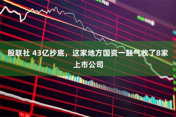 股联社 43亿抄底,这家地方国资一鼓气收了8家上市公司