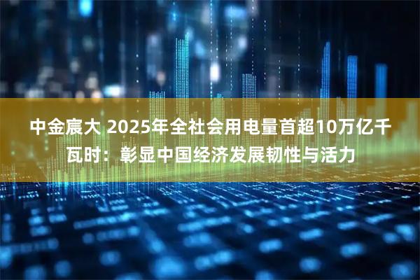 中金宸大 2025年全社会用电量首超10万亿千瓦时：彰显中国经济发展韧性与活力