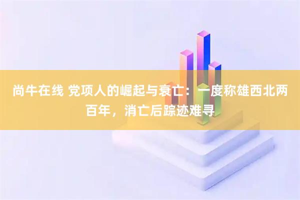 尚牛在线 党项人的崛起与衰亡：一度称雄西北两百年，消亡后踪迹难寻